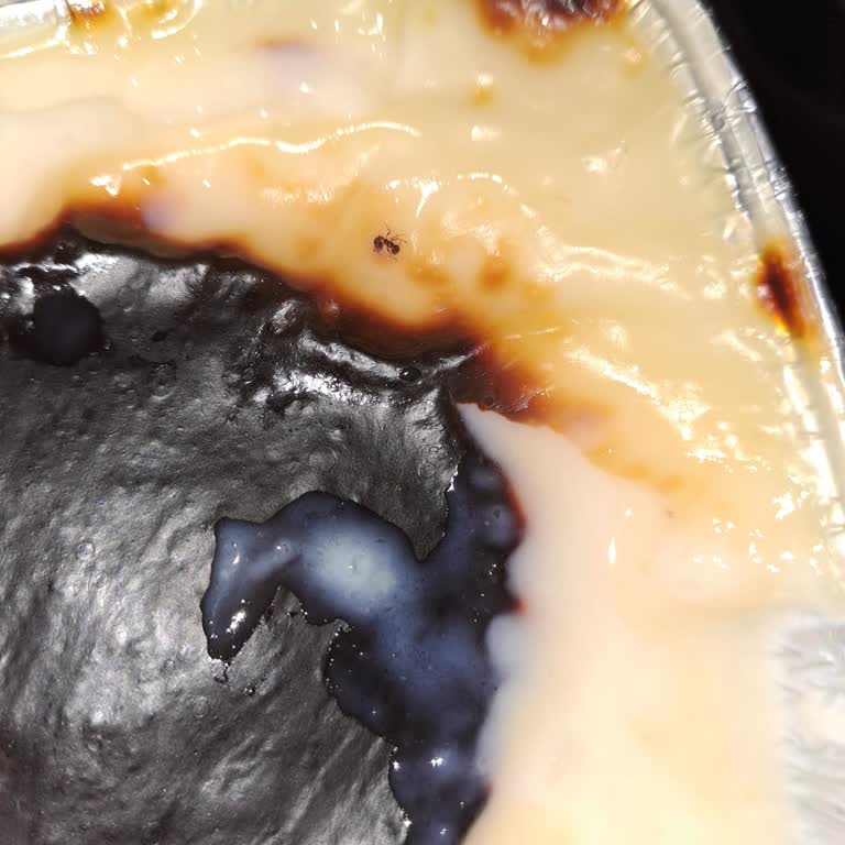 Salim Usta (Afyon) Fırın Sütlaç Karınca