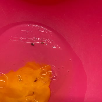 Kozlu Gıda A101'den Alınan Yumurta!