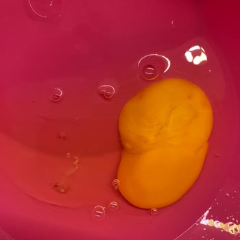 Kozlu Gıda A101'den Alınan Yumurta!