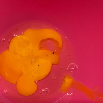 Kozlu Gıda A101'den Alınan Yumurta!