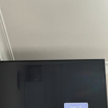 Sunny Sinyal Yok Hatası