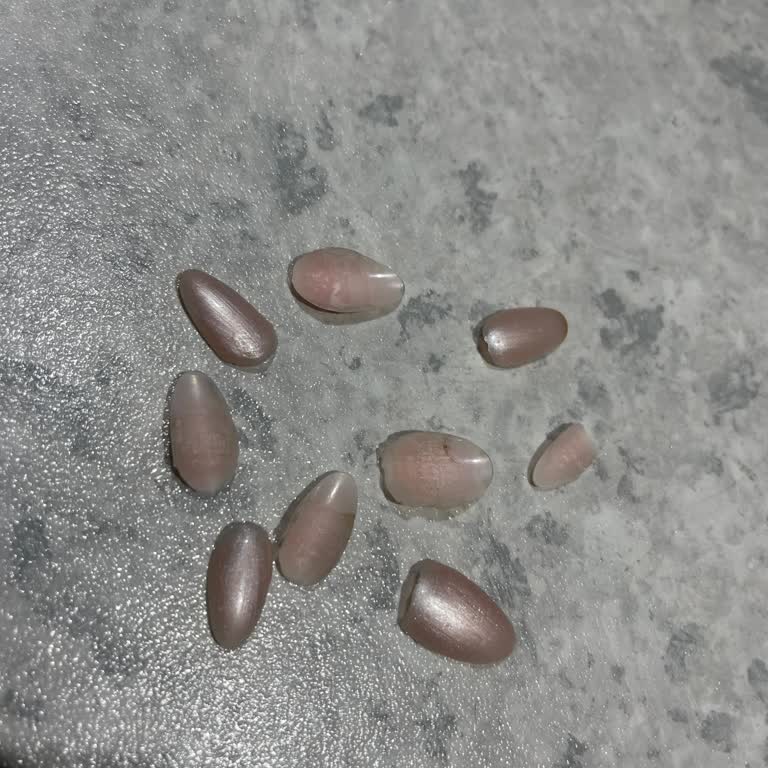 Vip Estetik Güzellik Bakırköy Hiçbir İşlemin Arkasında Durmuyor