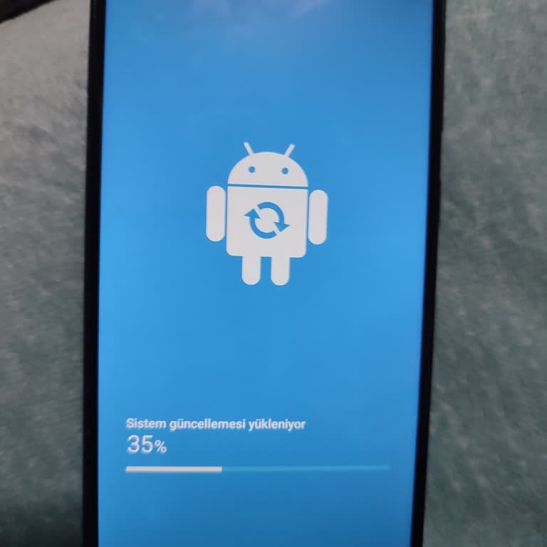 Samsung M20 Güncelleme Hatası
