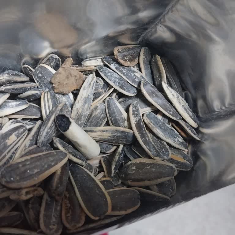 Tarım Kredi Kooperatif Market Çekirdek Paketinden Çıkan Sigara İzmariti!