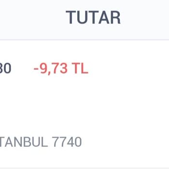 Martı Martinin Terbiyesizliği Ayıp