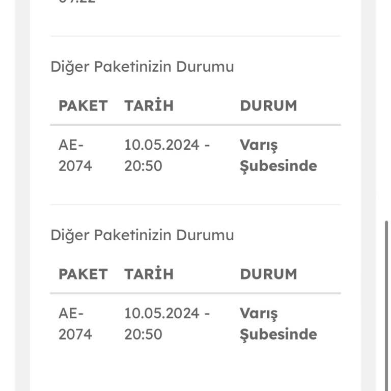 Evdemo Lojistik Kargomu Dağıtıma Çıkartmıyor