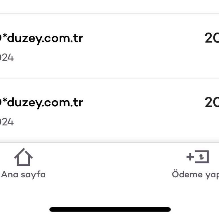 Iyzico Düzey Com