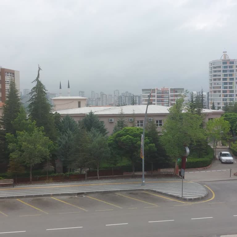 Sürat Kargo Kurye Hastaneyi Bulamamış