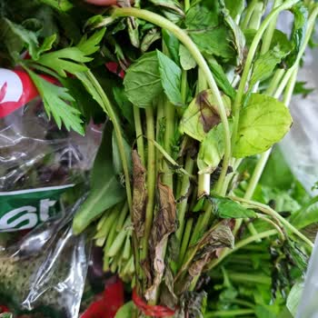 Getir Siparişinin En Kotu Yeşillikleri