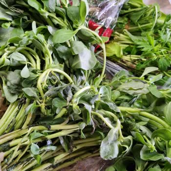 Getir Siparişinin En Kotu Yeşillikleri