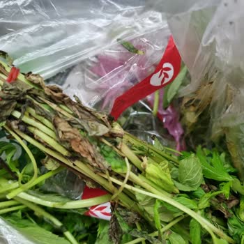 Getir Siparişinin En Kotu Yeşillikleri