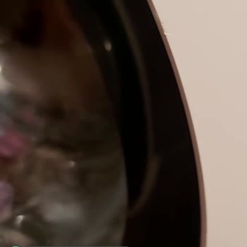 Beko Beyaz Eşyalarımdaki Pişmanlığım