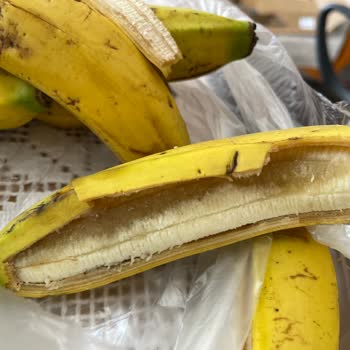 Ayvacık Uysal Market Muz Şikayeti