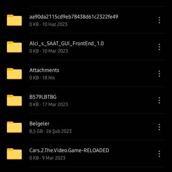Microsoft Onedrive Klasörler Hariç Her Şeyi Silmiş
