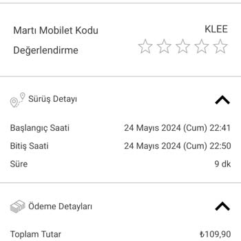 Martı Kiralama Sorunları Ve Haksız Ceza