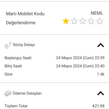 Martı Kiralama Sorunları Ve Haksız Ceza