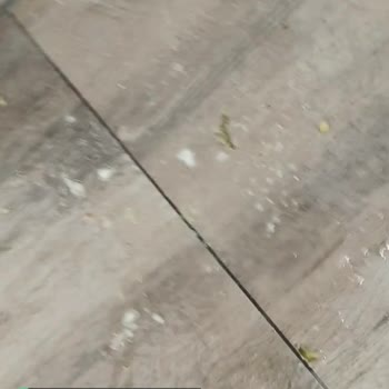 Başakşehir Çam Ve Sakura Şehir Hastanesi Acil Bölüm Pis Olduğu İçin Temizlenmesini İstiyorum!