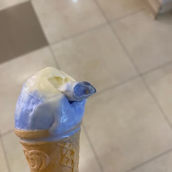 La Gelateria Dondurmadan Yara Bandı Çıktı