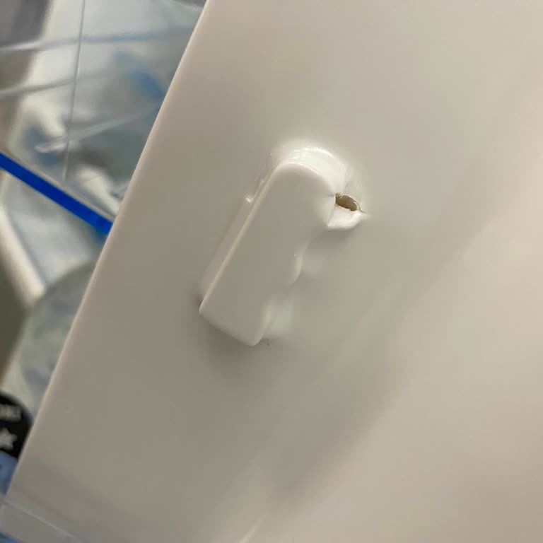 Bosch Termoteknoloji Bosch Beyaz Eşyalarının Arkasında Durmuyor!