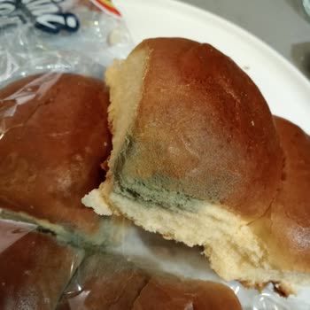 UNO Mini Roll Ekmek Küflenme Sorunu
