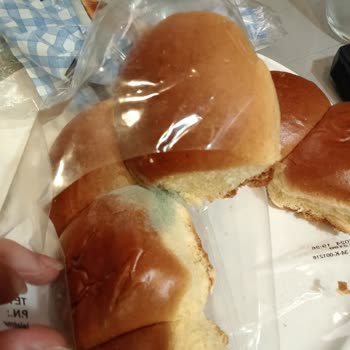 UNO Mini Roll Ekmek Küflenme Sorunu