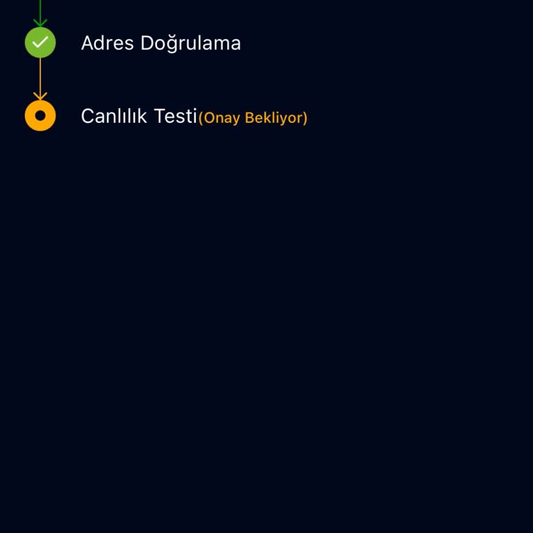 DinamikHub (D-Hub) Üyelik İşlemi Ve İletişim Sorunu