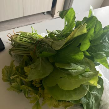 Cepte Şok Market Mağduriyeti