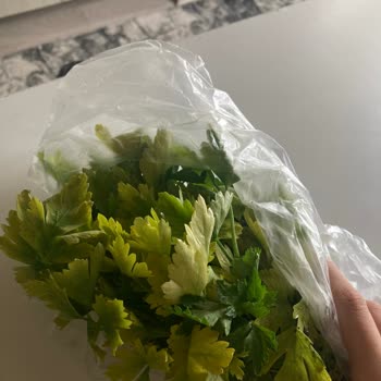 Cepte Şok Market Mağduriyeti