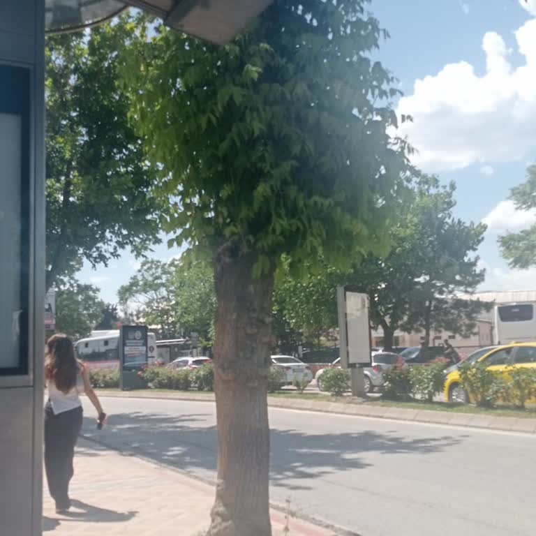 2A Etus Gelmiyor