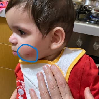 Chicco Брак чехла для стульчика для кормления Polly 2