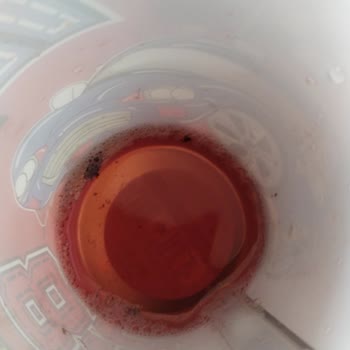 Link İçecek Link Vişne Aromalı İçecek