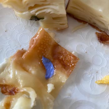 Tatbak Su Böreğinde Eldiven Parçası Şoku!