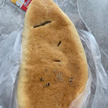 A101 Den Aldığım Ekmekten Çıkan Şeyler