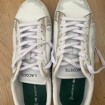 Lacoste Aldım Pişmanım Param Çöpe Gitti