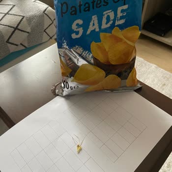 BİM Filizlenmiş Patates Cipsi