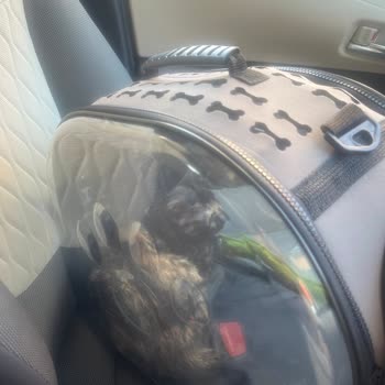 Hayvan Düşmanı Metro Market