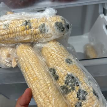 Arçelik Pişmanlıktır 2062 MB Derin Dondurucu