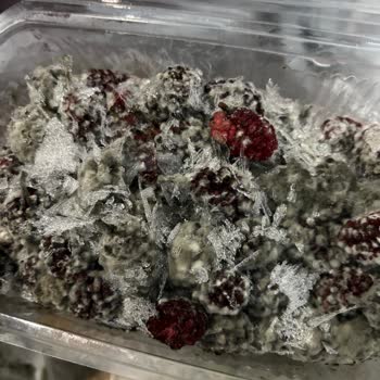 Arçelik Pişmanlıktır 2062 MB Derin Dondurucu