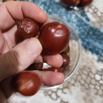 Getir Sebze Ve Meyve Kalitesi Düşük