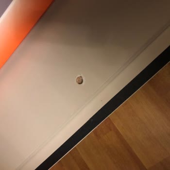 Ergül Mobilya Yüksek Fiyat 0 Kalite