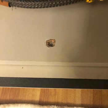 Ergül Mobilya Yüksek Fiyat 0 Kalite