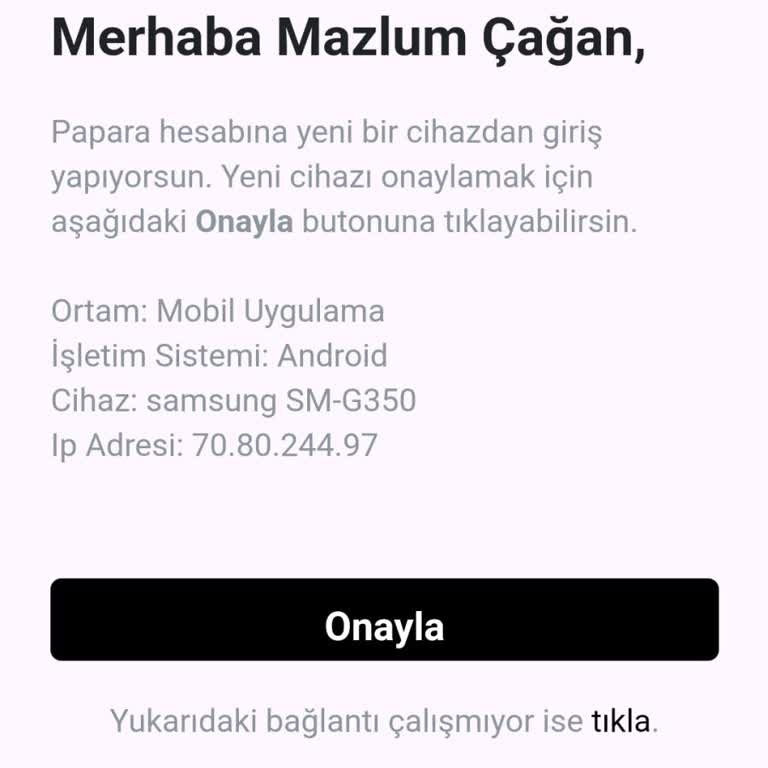 P****a Hesabım Çalınmıştır Lütfen Gerekli İşlemler Yapılsın