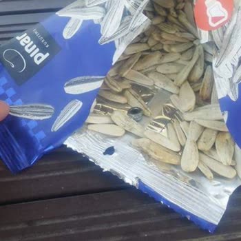 Pınar Kuruyemiş Çekirdekten Ayrıca Az Daha Mideme İniyordu Son Anda Fark Ettim