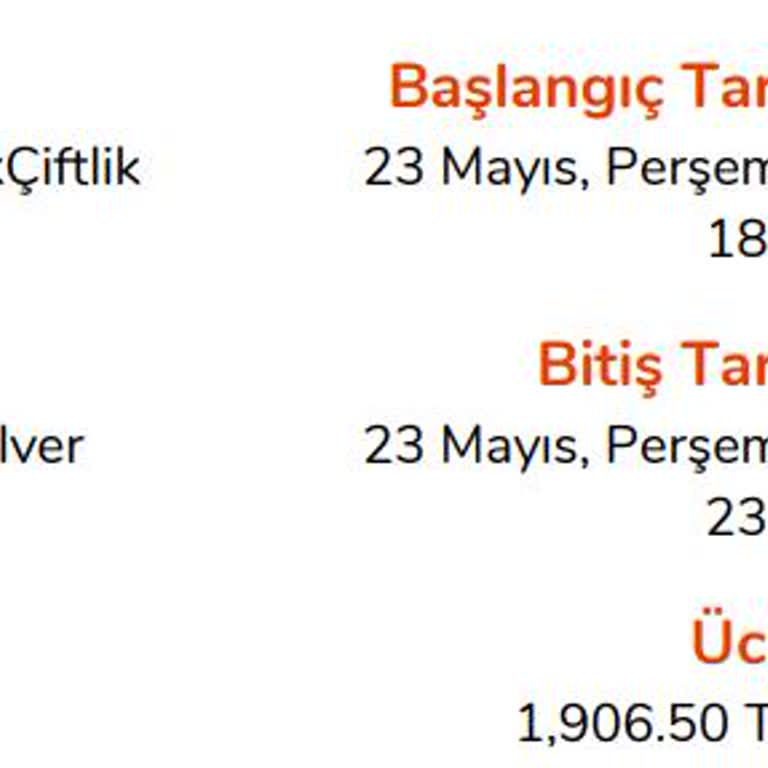 Küçükçiftlik Park Scorpions Konseri Bekleme Süresi