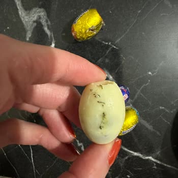 Nestle Çikolatadan Küf Şoku