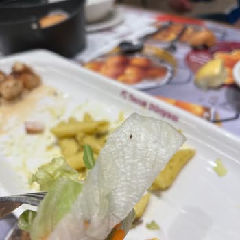 Tavuk Dünyası Kekiklim Menünün Salatasında Sinek Böcek Cıktı