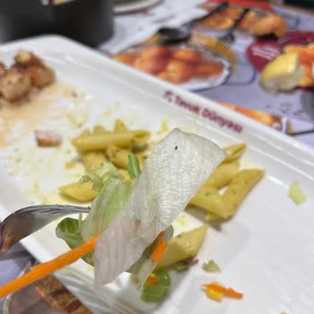 Tavuk Dünyası Kekiklim Menünün Salatasında Sinek Böcek Cıktı