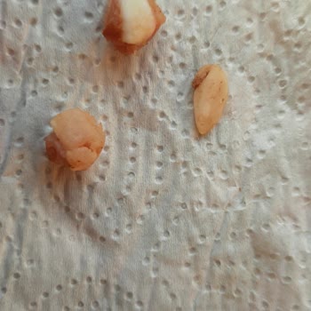 Metro Grossmarket Metro Chef Donuk Köfte De Kemik Ve Kıkırdak Parçaları