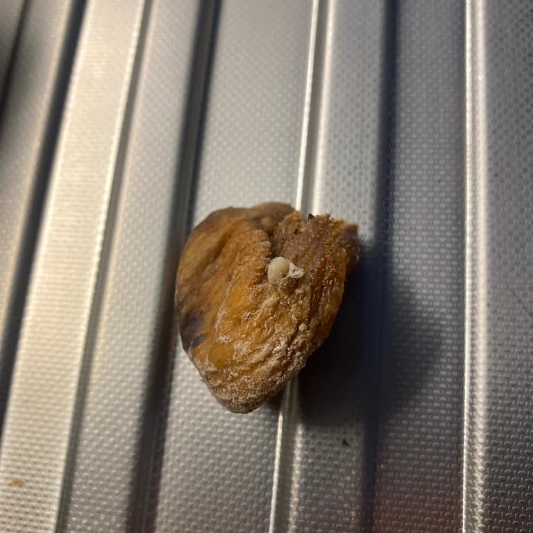 Migros'tan Alınan Kuru İncir Hakkında Şikayet