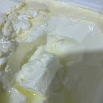 A101 Birşah Tava Yoğurdu Kıl Çıktı